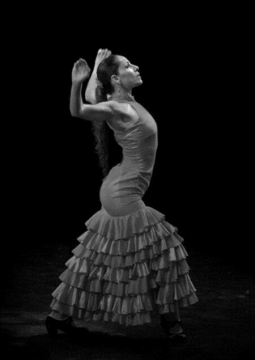 Tablao Flamenco (Испания, Россия) | Танцевальный клубный проект