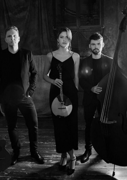 Swing modern project