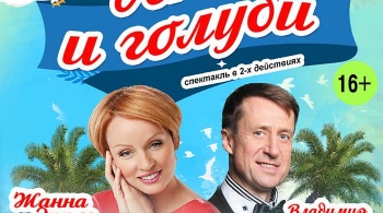 Любовь и голуби