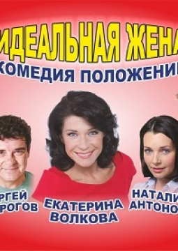 Идеальная жена