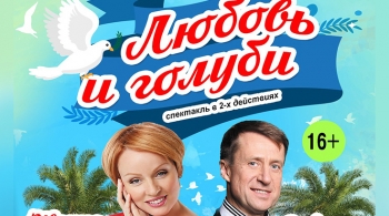 Любовь и голуби