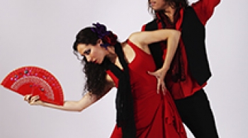 Последняя любовь Дон Кихота