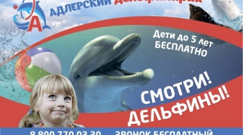 Адлерский дельфинарий