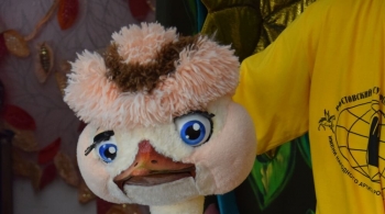 Страусёнок