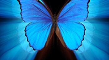 ЛОЛИТА | мюзикл