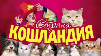 Страна кошландия | Московский театр кошек В.Куклачева