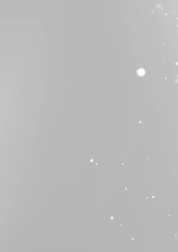 Анна Нетребко