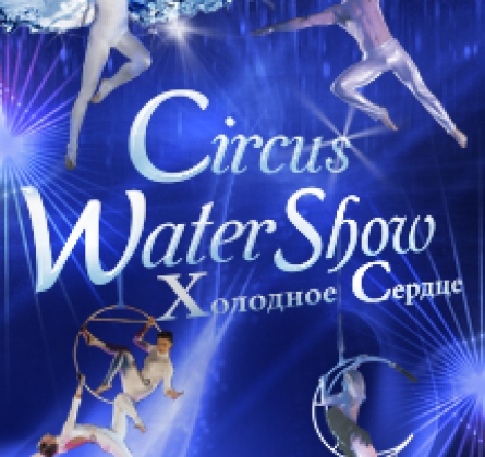 Ледяное сердце | Водное шоу