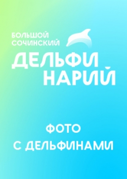 Фотосессия с дельфинами