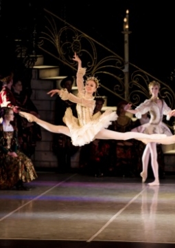 Лебединое озеро