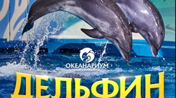 Дельфин шоу