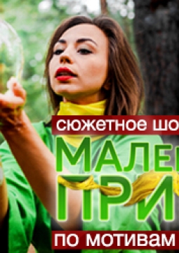 Маленький Принц | шоу мыльных пузырей