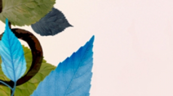 Вивальди. Времена года