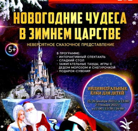 Новогодние чудеса в зимнем царстве