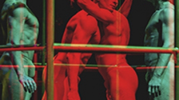 Клетка для попугаев