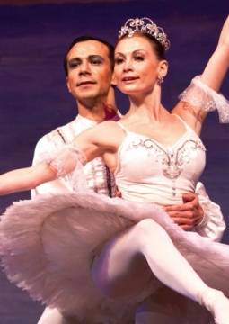 Спящая красавица