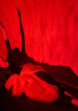 Идиот (Настя Ф.)