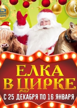Елка в цирке