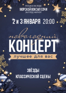 Новогодний концерт