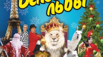 Цирк | Белые львы