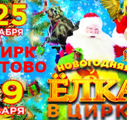 Новогодняя ёлка в цирке