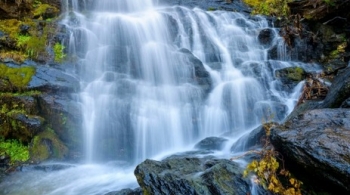 Древние водопады Карелии и дружелюбные хаски на Ласточке | Экскурсия