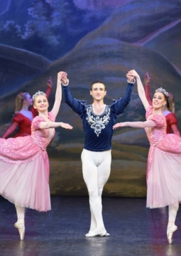 Лебединое озеро