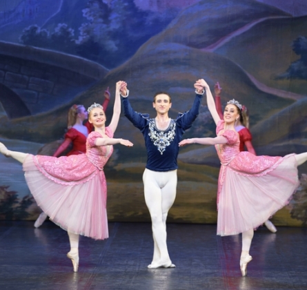 Лебединое озеро