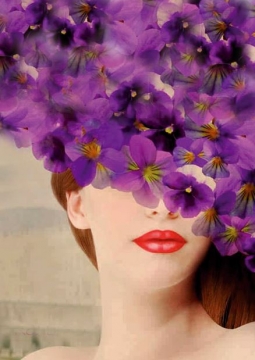 Фиалка Монмартра