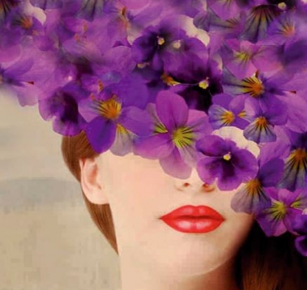 Фиалка Монмартра