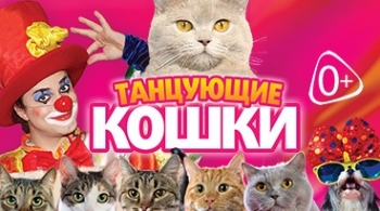 Танцующие кошки | Владимир Куклачёв