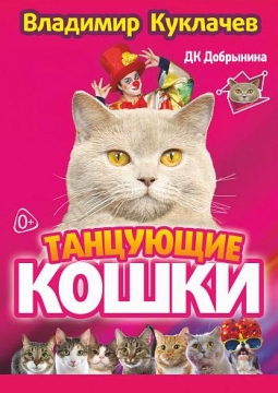 Танцующие кошки | Владимир Куклачёв