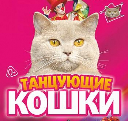 Танцующие кошки | Владимир Куклачёв