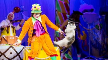 Страна кошландия | Московский театр кошек В.Куклачева