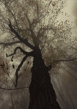 Прощание с Матёрой