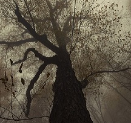 Прощание с Матёрой