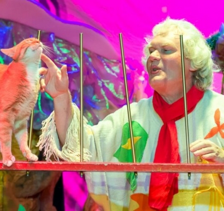 Мой папа - клоун с кошками! | Театр кошек Куклачева