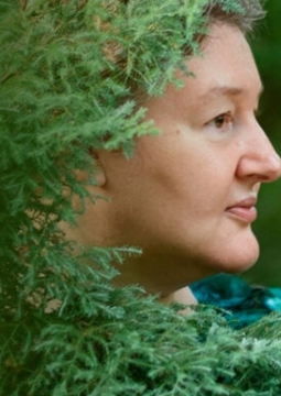 Легенды эльфийских холмов