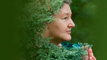 Легенды эльфийских холмов