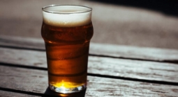 Может ли пиво быть полезным для здоровья?