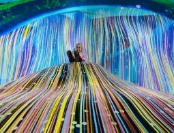 "Дикая Африка" в Красноярске