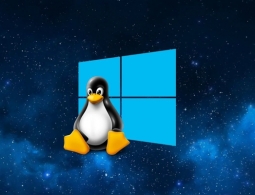 «Через десять лет про Windows в России никто и не вспомнит»: всем госструктурам России приказали срочно перейти на Linux
