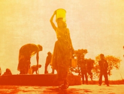 Огненное лето 2022: как пережить экстремальную жару