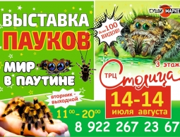 Выставка пауков в Перми