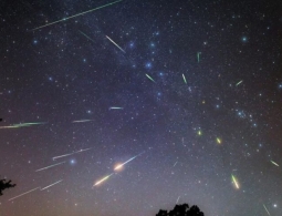 Как наблюдать за звездопадом Персеиды ночью 11 августа