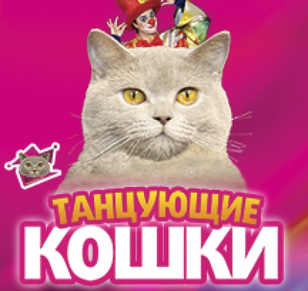 Танцующие кошки | Владимир Куклачёв