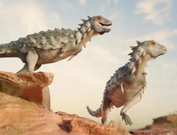 В Аргентине обнаружили останки динозавра-броненосца весом с кошку. В Патагонии нашли скелет ранее неизвестного науке животного