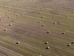 Группа «Ленинград» воссоздала образ современной России в «Гамаюне»