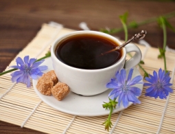 Без кофеина: чем полезен цикорий