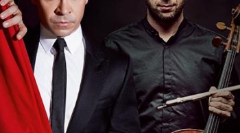 Идеальная пара